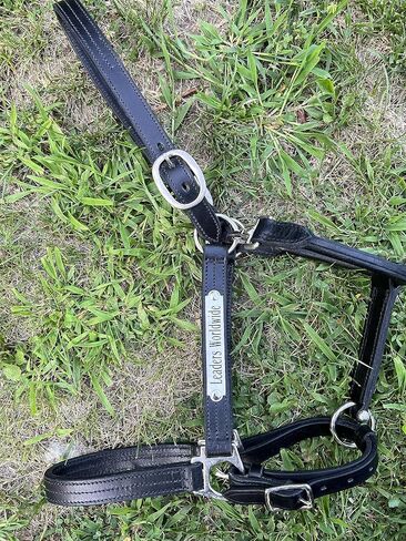 Leaders Leather Halter for Horses with Customized Engraved Name Plate Option Halter for Horse Black/Silver in Saudi Arabia
