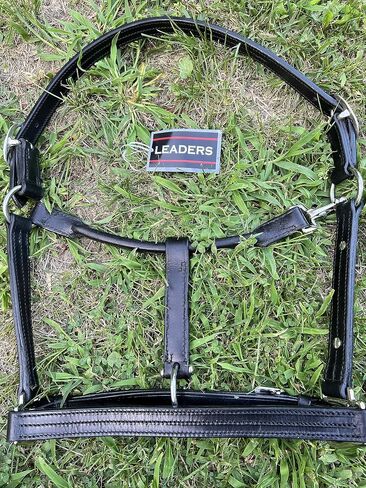 Leaders Leather Halter for Horses with Customized Engraved Name Plate Option Halter for Horse Black/Silver in Saudi Arabia
