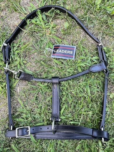 Leaders Leather Halter for Horses with Customized Engraved Name Plate Option Halter for Horse Black/Silver in Saudi Arabia