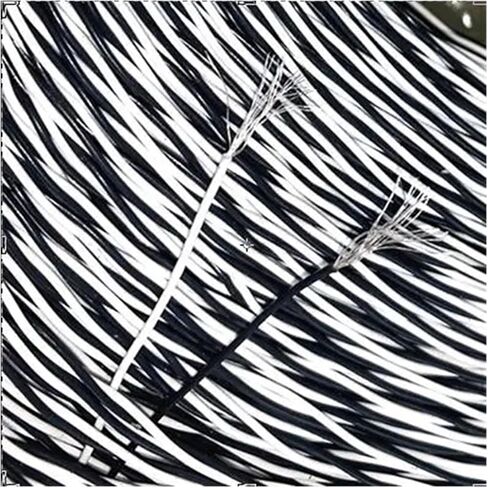 CAARLA UL (PVC) Wire and Cable Compensation Line Silver Plated Wire Silver Plated Stranded Suitable for Internal Cable Signal Line 2Core 3Core Power Wire(3p Orange red Black) in Saudi Arabia