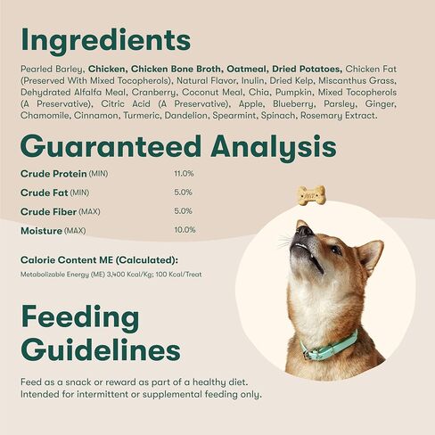 Jinx Salmon Bone Broth Biscuits Crunchy Dog Treats - 16oz in Saudi Arabia