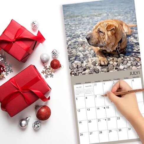 2025-2026 Wall Calendar,Schnauzer Wall Calendar, 12" x 24" Open,Family Planner Calendar Organizer with Schnauzer Images, for Dogs Lovers in Saudi Arabia
