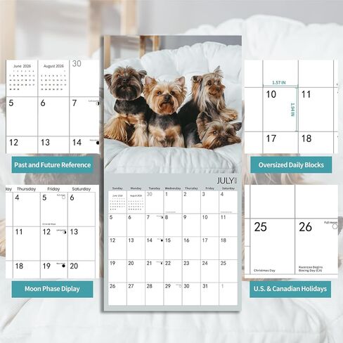 2025-2026 Wall Calendar,Schnauzer Wall Calendar, 12" x 24" Open,Family Planner Calendar Organizer with Schnauzer Images, for Dogs Lovers in Saudi Arabia
