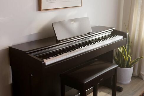 Yamaha Arius ، وحدة التحكم الرقمية الموزونة 88 مفتاح Beyed Hammer 3 Action ، CFX Concert Grand Piano Sound ، تشمل مقاعد البدلاء ، Dark Rosewood (YDP184R) in Kuwait