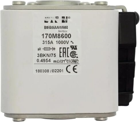 170M8600 170M8601 170M8602 170M8603 170M8604 170M8605 170M8606 170M8607 170M8608 170M8609 170M8610 170M8611 Fuse(170M8605) in Saudi Arabia