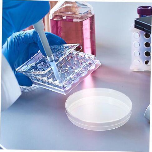 10pcs أطباق الثقافة الشفافة لاستخدام المختبر لوحات ثقافة الكيمياء للأدوات التجريبية لحضانة عينة آمنة in Kuwait