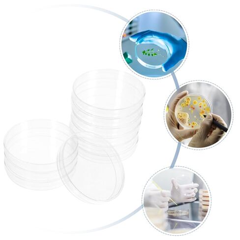 10pcs أطباق الثقافة الشفافة لاستخدام المختبر لوحات ثقافة الكيمياء للأدوات التجريبية لحضانة عينة آمنة in Kuwait