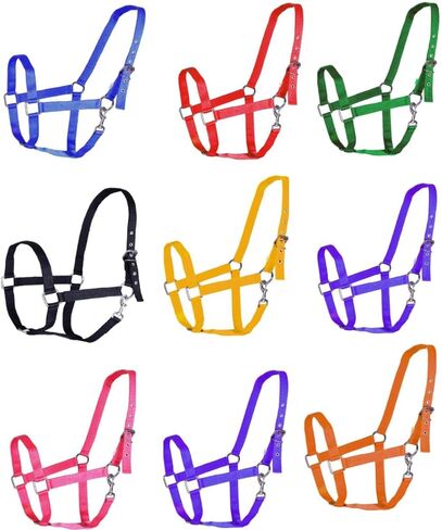 يظهر Tack القابل للتعديل الحجم الكامل للحجم الكامل للفروسية (أصفر) in Kuwait