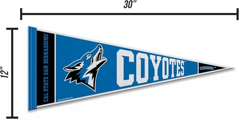 Rico Industries NCAA Cal State San Bernardino Coyotes 12" x 30" Felt Wall Décor Pennant - Great for Home/Bed Room/Man Cave Décor in Saudi Arabia