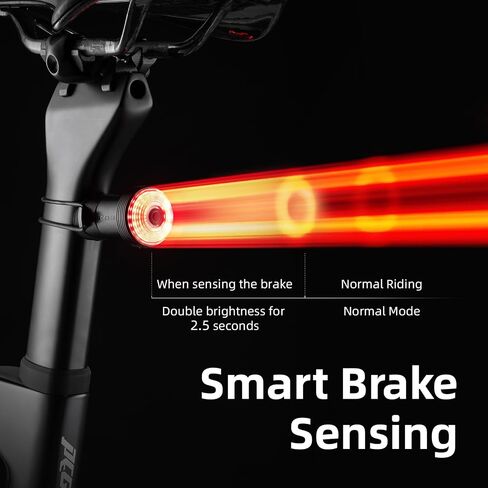 ROCKBROS Bike Tail Light Smart Brake Sensing Rear Bike Light,Auto On/Off, Waterproof,Type C USB Rechargeable，Black in Saudi Arabia