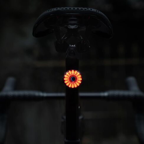 ROCKBROS Bike Tail Light Smart Brake Sensing Rear Bike Light,Auto On/Off, Waterproof,Type C USB Rechargeable，Black in Saudi Arabia