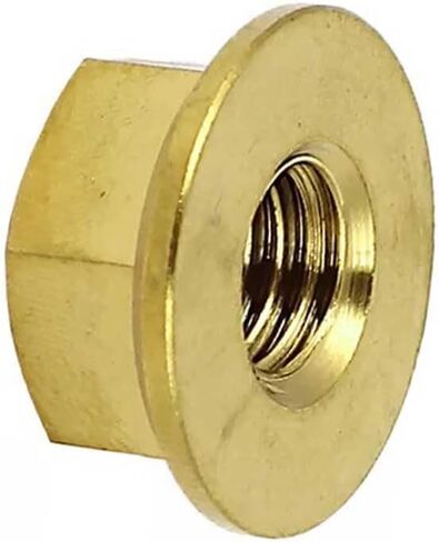 2 استبدال حزمة 678189001 NUT لـ Ridgid RD80770 RD80971 لـ RYOBI RY80030 RY80030A RY80518 لـ HOMELITE UT902250 HU80520 HU80522 HU80530 HU80931 HU80531 HU22511 UT902211 in Saudi Arabia