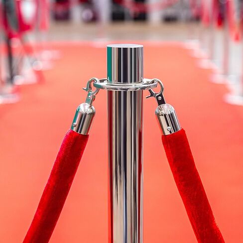 Homoyooo 2PCS Stefless Steel Rope Stoppers مع السنانير المفاجئة متين التزيين الحبل in Saudi Arabia