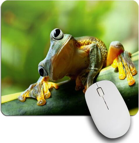 IBILIU Mouse Pad White Roses,Butterfly Flower Floral Rectangle Mousepad Non-Slip Rubber Base Computer Mouse Pad for Laptop, Office, Home - 9.5 X 7.9 Inch in Kuwait
