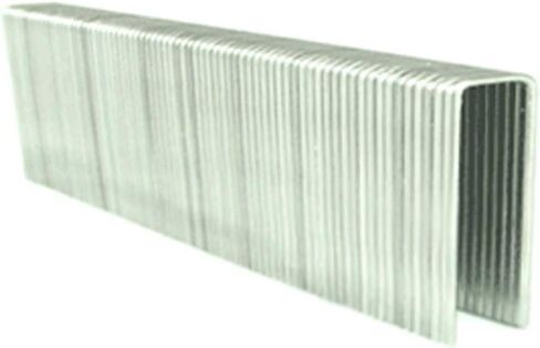 1" Leg x 7/16" Crown 16GA 304SS N13 Staples 1,000ct | SSN13-1M in Saudi Arabia