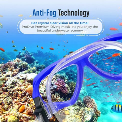 Snorkel Mask and Snorkeling Gear - Dry-Top Snorkel Set with Impact-Resistant Tempered Glass Lens, Anti-Fog Design, Watertight Seal, Adjustable Strap with Carry Case (Crystal Clear Vision) in Kuwait