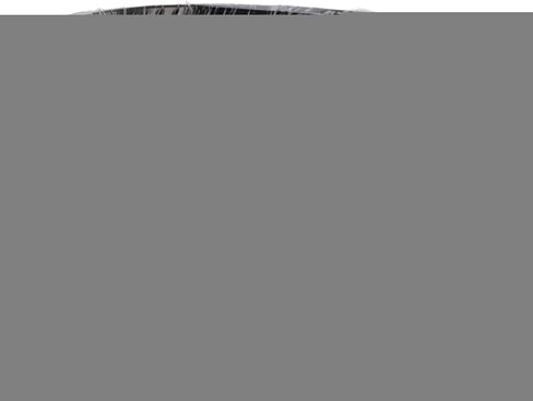 Aluminum Training Wire 500g Black Garden Horticulture (1.0mm in Saudi Arabia