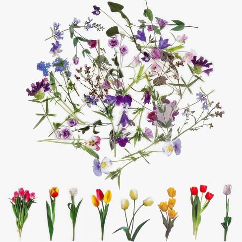 Transparent Flower Stickers for Scrapbooking, 80Pcs Self-Adhesive Nature Plant Floral Stickers, Colorful Clear Press Flower Sticker for Scrapbooking Journaling Laptops DIY Craft Daily Planner in Saudi Arabia