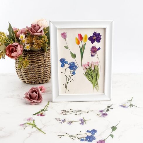 Transparent Flower Stickers for Scrapbooking, 80Pcs Self-Adhesive Nature Plant Floral Stickers, Colorful Clear Press Flower Sticker for Scrapbooking Journaling Laptops DIY Craft Daily Planner in Saudi Arabia