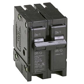 BRKR BR 2P 40A 2" in Saudi Arabia