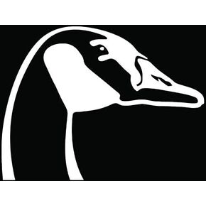 Duck Goose Head Decal Vinyl Sticker - 5 Inches Funny Hunting Unlimited Stickers for Cars Vehicles Helmet Bumper Trucks Dirt Bike Adults Van Window Boat Cup Tumblers Laptops
