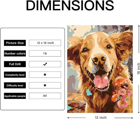 Paint by Numbers Kit for Adults Beginner Couples Gift Ideas Simple Painting Golden Retriever Dog with Frame DIY Oil Painting Acrylic Paints Canvas for Wall Art 12x16inch in Saudi Arabia