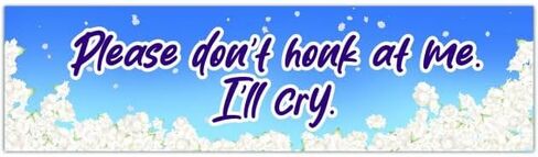 Please Don't Honk At Me. I'll Cry - Car Decal - Funny Sticker - Vinyl Decal Bumper Sticker [01606] in Saudi Arabia