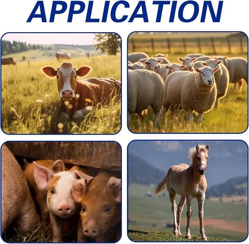 Livestock Scratch Brushes, Horse Bovine Nylon Massage Brush, Equine Massage Brush Itch Relief Brush Clean Massage Scratch Brushes for Equine Bovine Cow Sheep Pig Deer Livestock Cattle in Saudi Arabia