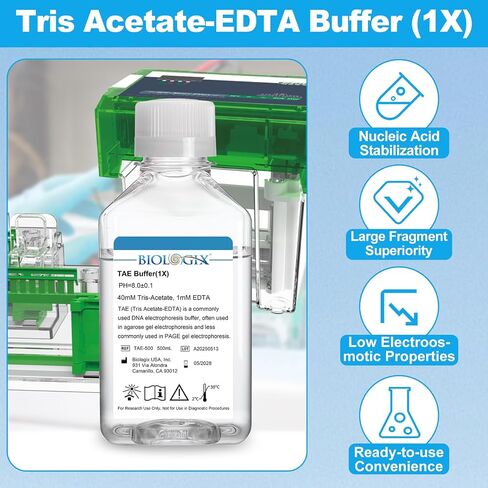 Tris Acetate-EDTA Buffer (1×), TAE DNA Electrophoresis Buffer, pH 8.0, 500mL/Bottle, 10 Bottles/Box in Saudi Arabia