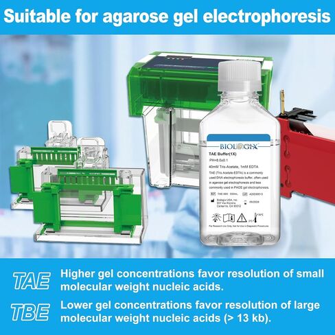 Tris Acetate-EDTA Buffer (1×), TAE DNA Electrophoresis Buffer, pH 8.0, 500mL/Bottle, 10 Bottles/Box in Saudi Arabia