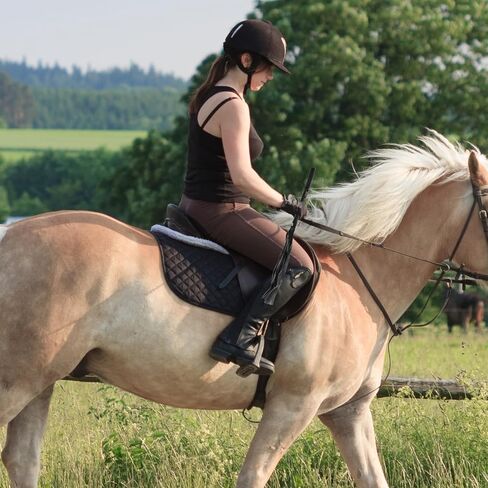 سوط سوط الحصان اللطيف للفروسية الحمراء ، سوط محصول 17.7 بوصة للخيول ، والفروسية الحمراء ، سوط الخيل ، والخيول السميكة ، سوط الخيول لتدريب الخيول الأساسية (أحمر) (أحمر) in Kuwait