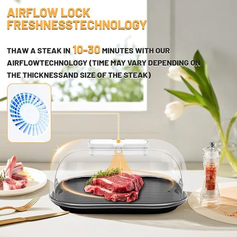 صينية ذوبان اللحوم المجمدة - صينية ذوبان الطعام السريعة لشرائح اللحم ، الدجاج والمأكولات البحرية | صفيحة ملهمة كونترتوب في المطبخ ، التخييم ، شواء الشواء in Kuwait