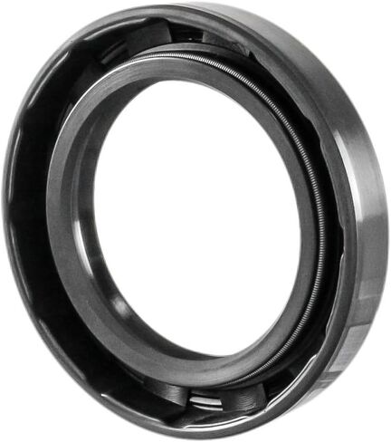 EAI OIL SEAL 40 مم × 60 مم × 10 مم TC شفة مزدوجة ث/الربيع. حالة معدنية مع طلاء المطاط النتريل in Saudi Arabia