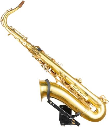 Saxophone Stand,Wall Mounted Adjustable Shelf,Aluminum Display Stand for Alto/Tenor Saxophone,with Accessories in Saudi Arabia