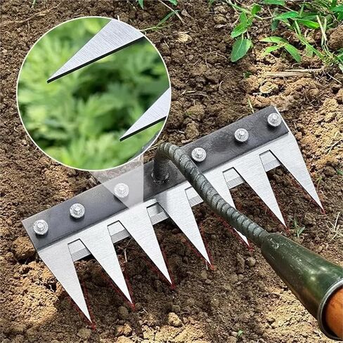 Weeding Hoe Iron Rake Garden Rake Metal Carbon Steel Tooth Nail Rake Weeding Loose Soil Agricultural Tool for Sturdy Dethatching(6-Teeth) in Saudi Arabia