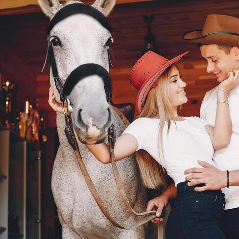 8 أجهزة كمبيوتر خيول أغطية صوف الرسن ، وملحقات Hobby Horse التي توفر الراحة والحماية ، وآلة قابلة للغسل للرسوم والملحقات الجسور in Saudi Arabia