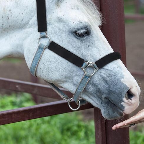 8 أجهزة كمبيوتر خيول أغطية صوف الرسن ، وملحقات Hobby Horse التي توفر الراحة والحماية ، وآلة قابلة للغسل للرسوم والملحقات الجسور in Saudi Arabia