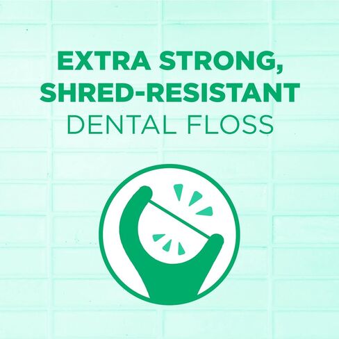 GUM Professional Clean Floss Picks - Extra Strong Shred-Resistant Floss, Easy Grip Handle - Dental Flossers for Adults - Fresh Mint Flavor, 40ct (6pk) in Saudi Arabia