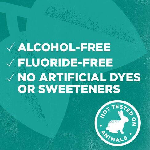 Tom's of Maine Wicked Fresh! Mouthwash Cool Mountain Mint, 16 Fl Oz (Pack of 1) (Packaging May Vary) in Kuwait