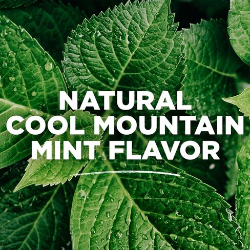 Tom's of Maine Wicked Fresh! Mouthwash Cool Mountain Mint, 16 Fl Oz (Pack of 1) (Packaging May Vary) in Kuwait