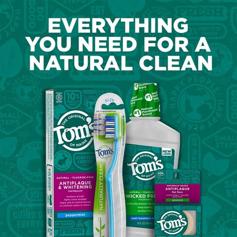 Tom's of Maine Wicked Fresh! Mouthwash Cool Mountain Mint, 16 Fl Oz (Pack of 1) (Packaging May Vary) in Kuwait
