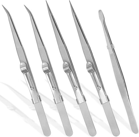 5 PC Precision Toesers ، مجموعة ملقطات صغيرة من الفولاذ المقاوم للصدأ ، أداة دقيقة للانزلاق للإلكترونيات ، المجوهرات ، الحرفية ، العمل والمختبر in Saudi Arabia