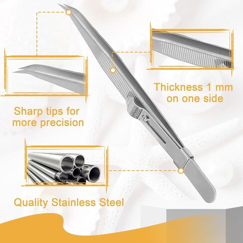 5 PC Precision Toesers ، مجموعة ملقطات صغيرة من الفولاذ المقاوم للصدأ ، أداة دقيقة للانزلاق للإلكترونيات ، المجوهرات ، الحرفية ، العمل والمختبر in Saudi Arabia