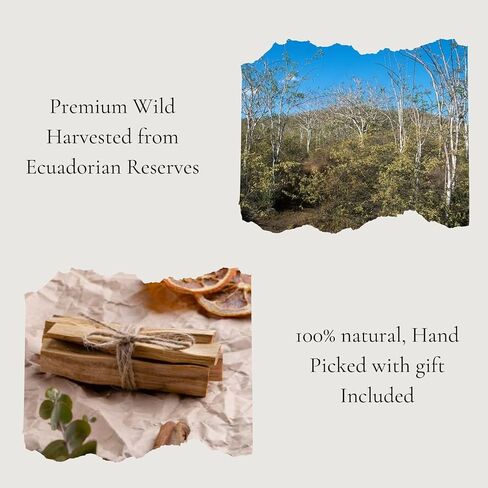Gaiancestry | Organic Palo Santo Sticks from Ecuador - 100 grams, Premium Wild harvested, hand-picked, 100% natural, stress and anxiety relief. in Saudi Arabia