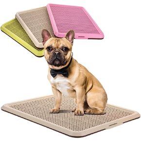 Banu Puppy Pee Pad Pad Holder داخلي/خارجي من القعادة تدريب صينية المرحاض 20 "× 16" للكلاب الصغيرة والمتوسطة صحية مرحاض للحيوانات الأليفة in Kuwait