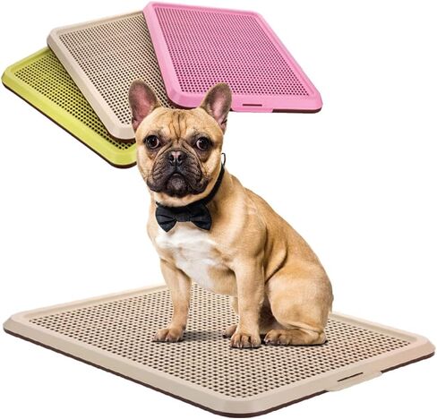 BANU Puppy Pee Pad Holder Indoor/Outdoor Dog Potty Training Toilet Tray 20" x 16" for Small and Medium Dogs Hygienic pet Toilet Pet Supplies (Yellow) in Kuwait