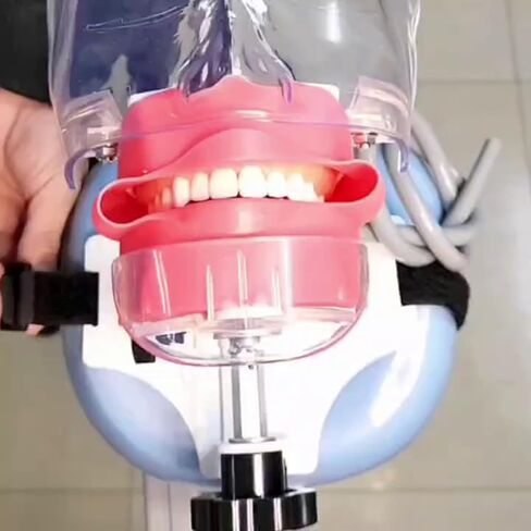 Dental Phantom Head with Typodont Teeth Model, Dental Simulator Manikin Phantom Head for Dentist Teaching Practice Training Demonstration (Dental Phantom Head(Fixe on Dental Chair)) in Kuwait