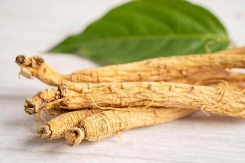 ENG Wisconsin American Medium Ginseng Root – 4oz/Box – Premium USA Ginseng Root – Energy & Immune Support (Pack of 1) (1) in Saudi Arabia