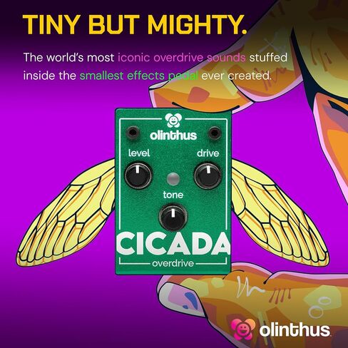Olinthus Cicada Overdrive – World's Smallest Guitar Effects Mini Pedal in Saudi Arabia