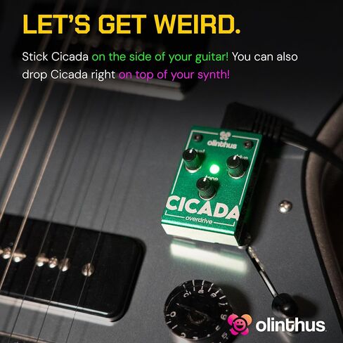 Olinthus Cicada Overdrive – World's Smallest Guitar Effects Mini Pedal in Saudi Arabia